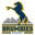 Brumbies