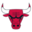 Chicago Bulls