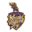 Kolkata Knight Riders